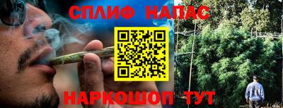 прущие грибы Краснознаменск