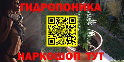 прущие грибы Краснознаменск