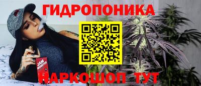 прущие грибы Краснознаменск