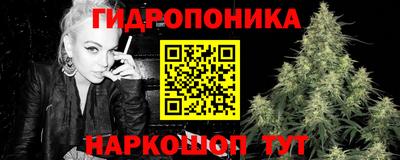 прущие грибы Краснознаменск
