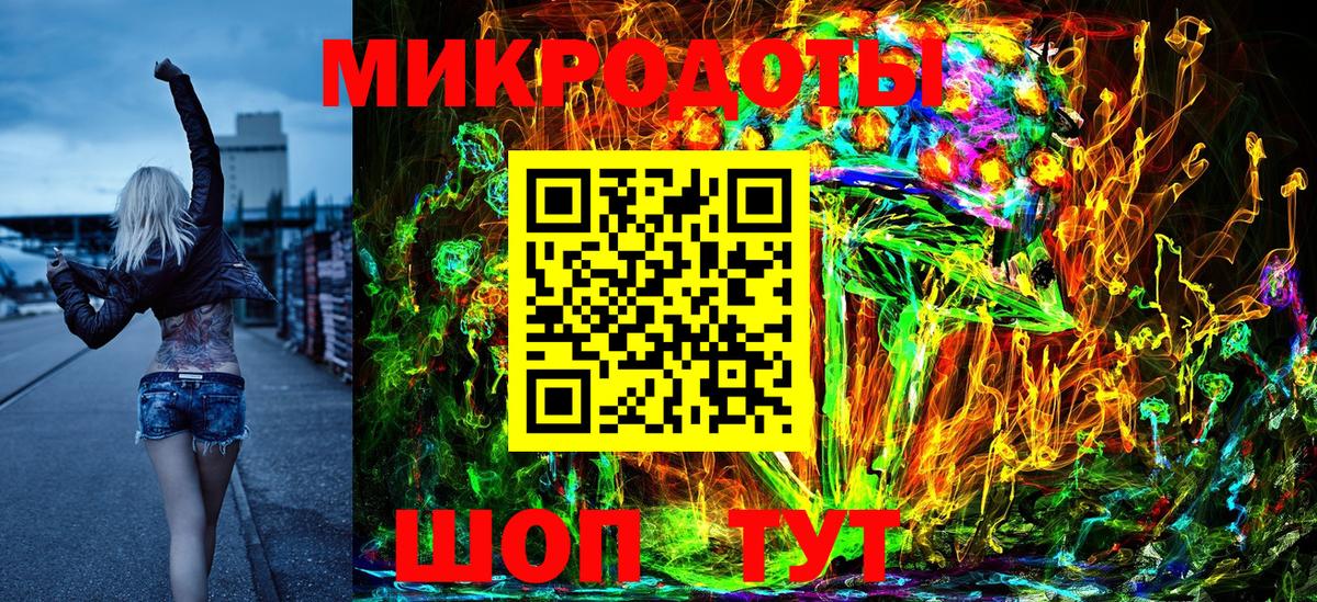 Галлюциногенные грибы Psilocybe Кизляр